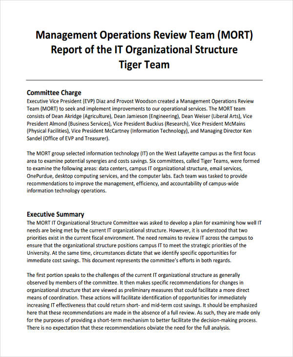 Operations Manager Report Template