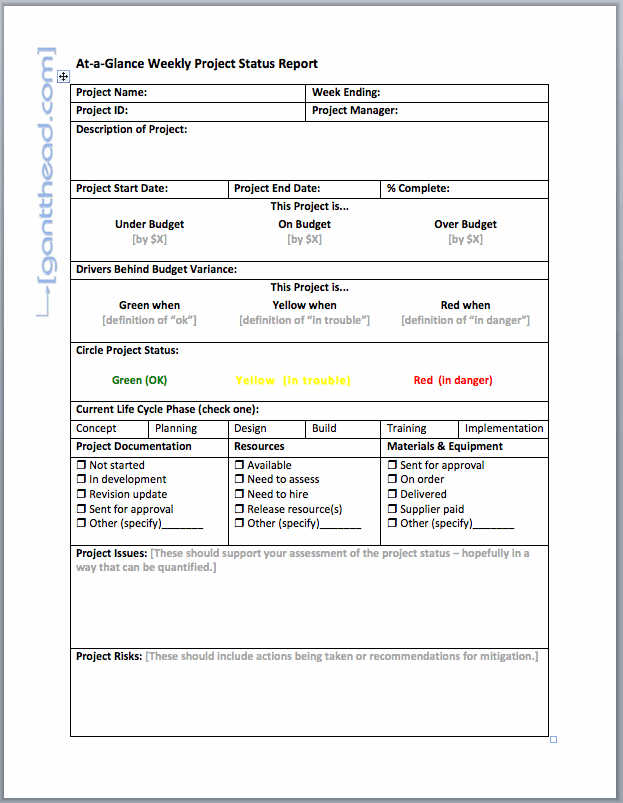 Project Manager Status Report Template