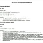 Report To Senior Management Template