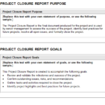 Report To Senior Management Template