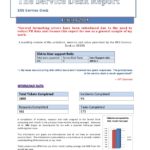 Report To Senior Management Template