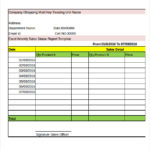 Sales Activity Report Template Excel