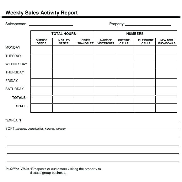 sales visit report