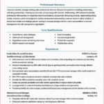 Sales Rep Visit Report Template