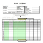 Sales Trip Report Template Word