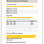 Site Visit Report Template