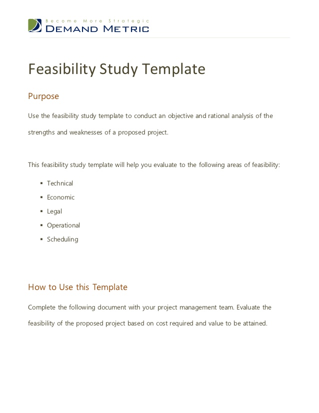 Technical Feasibility Report Template