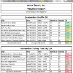 Volunteer Report Template