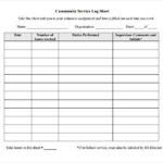 Volunteer Report Template