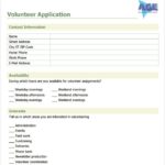 Volunteer Report Template