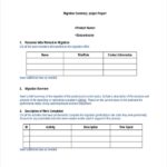 Work Summary Report Template