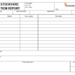 Daily Inspection Report Template