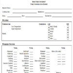 Daily Inspection Report Template