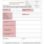 Daily Work Report Template