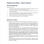 Health And Safety Board Report Template