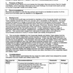 Health And Safety Board Report Template