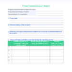 Implementation Report Template