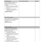 Information System Audit Report Template