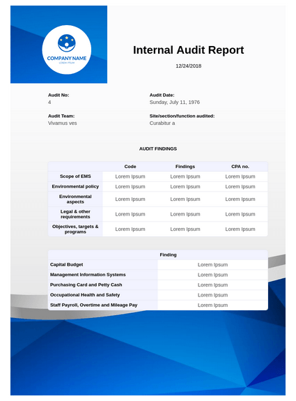 Information System Audit Report Template