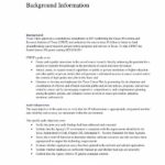 Information System Audit Report Template