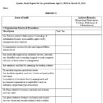 Information System Audit Report Template