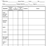 Monthly Progress Report Template