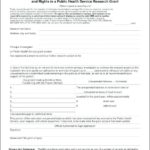 Motor Vehicle Accident Report Form Template