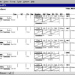 Nursing Assistant Report Sheet Templates