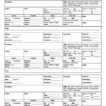 Nursing Assistant Report Sheet Templates