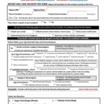 Police Incident Report Template