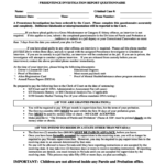 Presentence Investigation Report Template