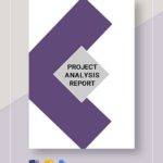 Project Analysis Report Template