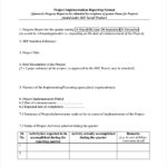 Project Implementation Report Template