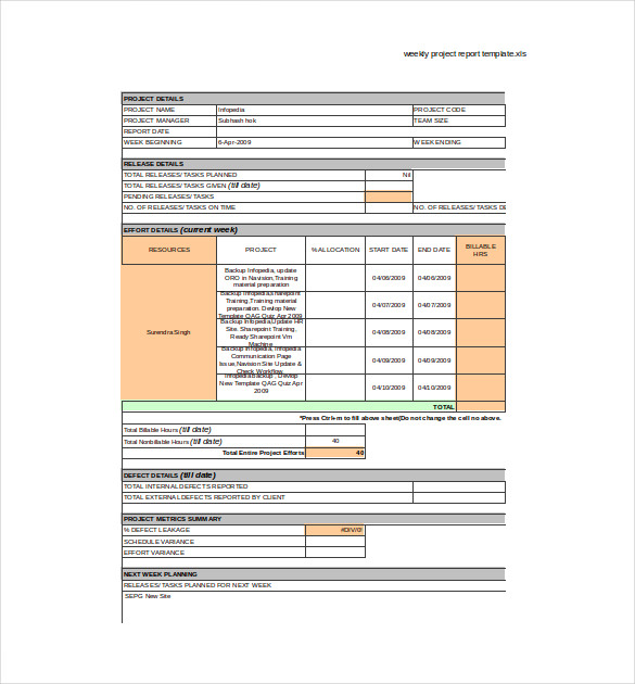 Project Weekly Status Report Template Excel