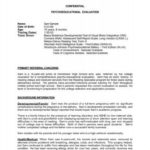 Psychoeducational Report Template