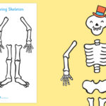 Skeleton Book Report Template