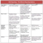 Ssae 16 Report Template