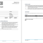 Template For Audit Report