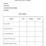 Template For Audit Report