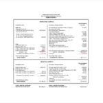 Capital Expenditure Report Template