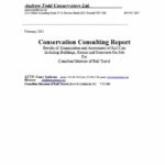 Consultant Report Template