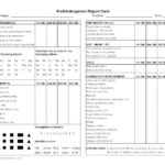 Daily Behavior Report Template