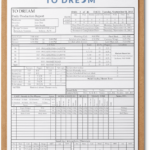 Daily Report Sheet Template