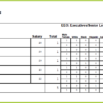 Eeo 1 Report Template