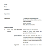 Internal Control Audit Report Template