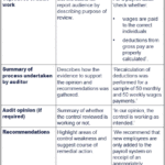 Internal Control Audit Report Template