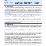 Llc Annual Report Template