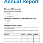 Llc Annual Report Template