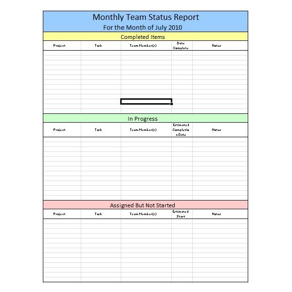 Monthly Program Report Template