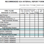 Non Profit Monthly Financial Report Template